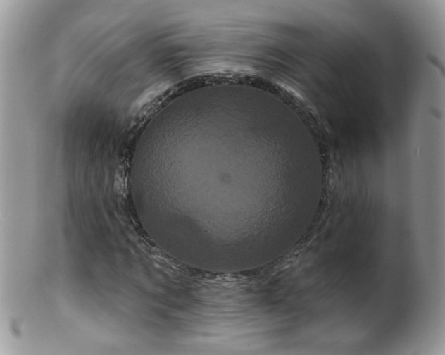 X0000099380869200805151616