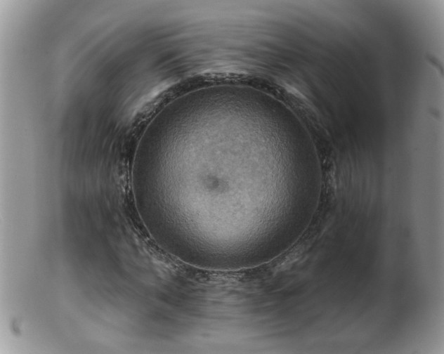 X0000099380870200805151616