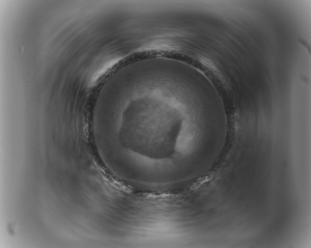 X0000099380872200805151616