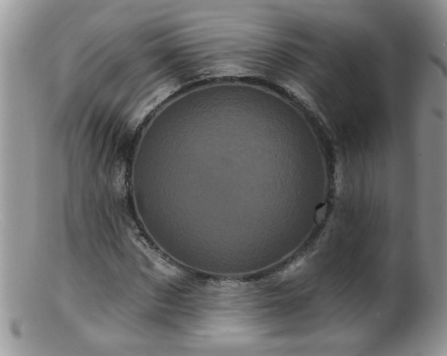 X0000099380873200805151616