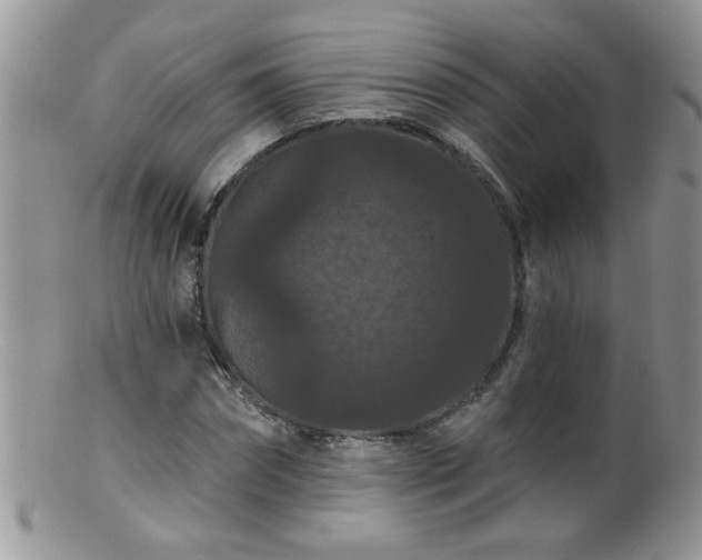 X0000099380874200805151616