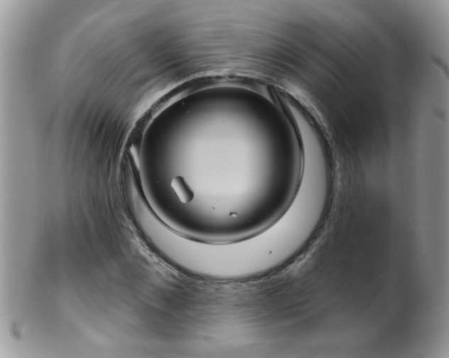 X0000099380876200805151616