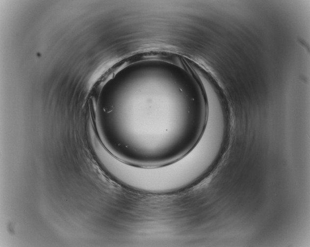 X0000099380877200805151616