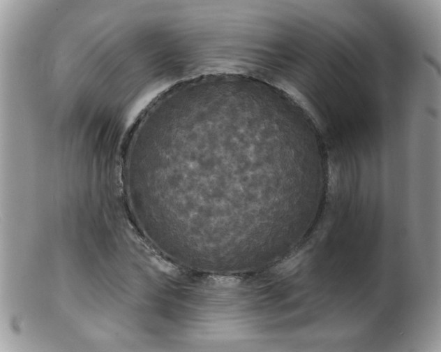 X0000099380878200805151616