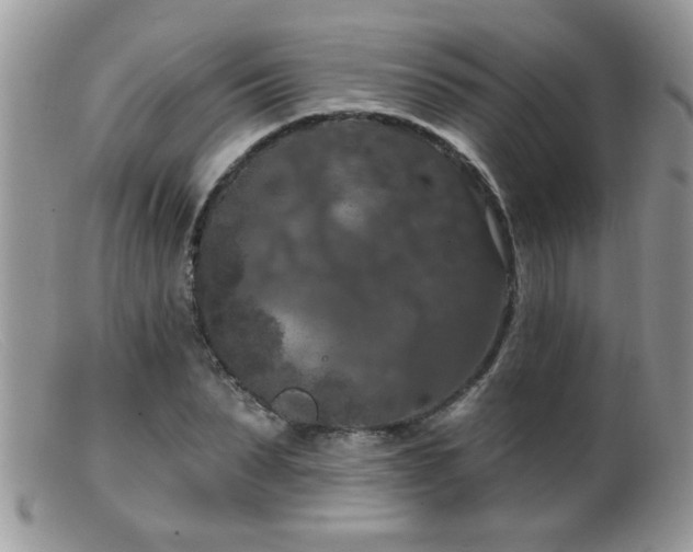 X0000099380879200805151616