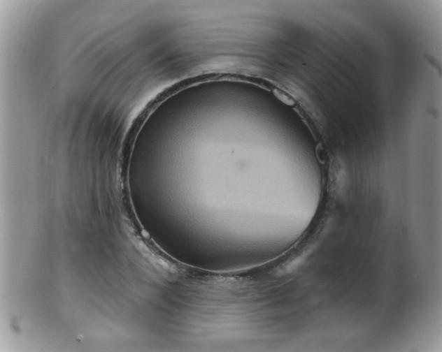 X0000099380880200805151616