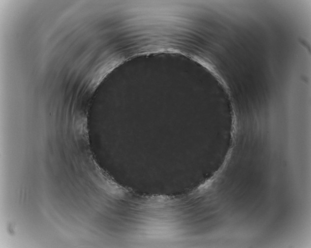 X0000099380881200805151616