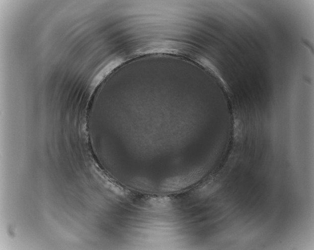 X0000099380882200805151616