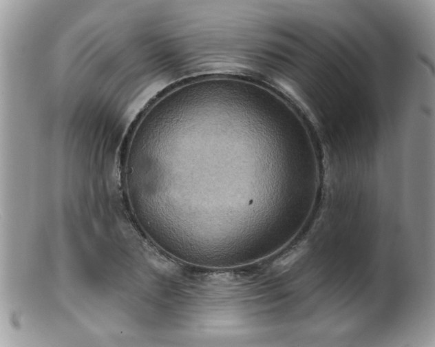 X0000099380883200805151616