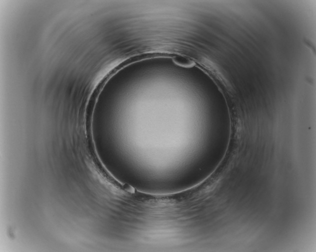 X0000099380884200805151616