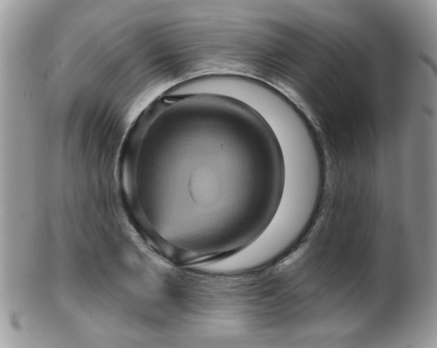 X0000099380885200805151616