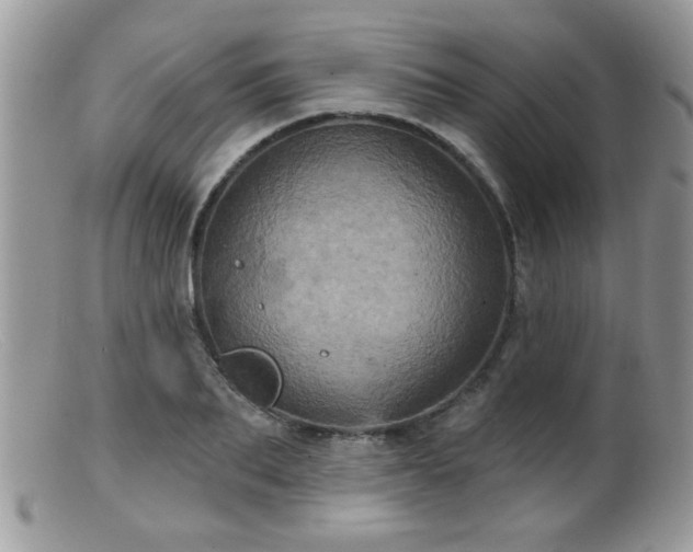 X0000099380887200805151616