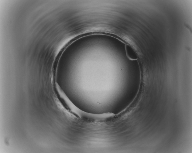 X0000099380888200805151616