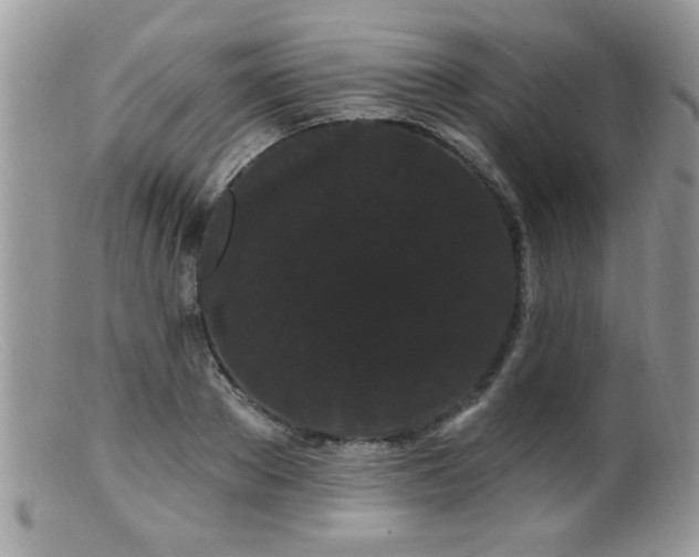 X0000099380889200805151616