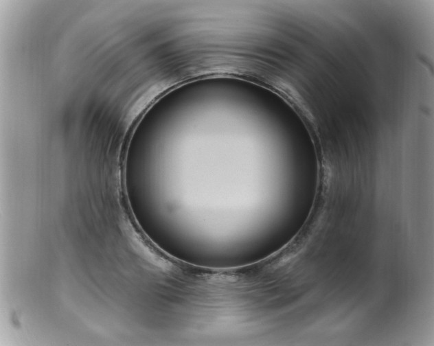 X0000099380890200805151616