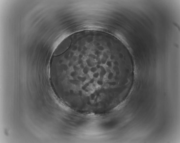 X0000099380891200805151616