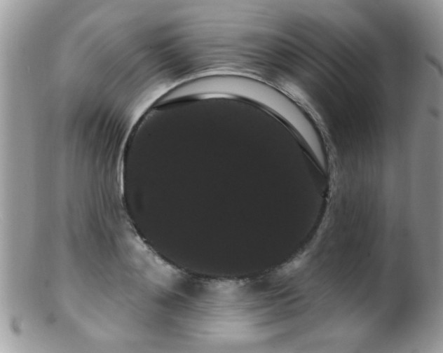 X0000099380892200805151615