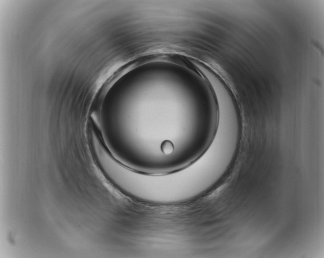 X0000099380893200805151615