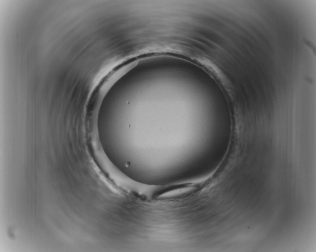 X0000099380894200805151615