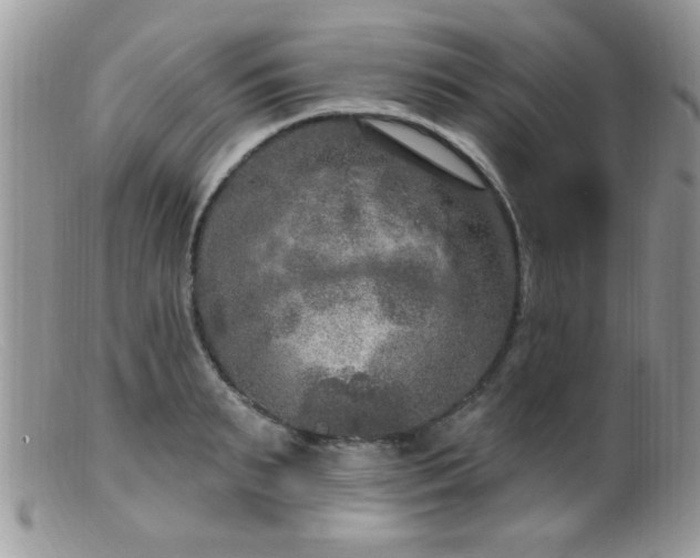 X0000099380895200805151615