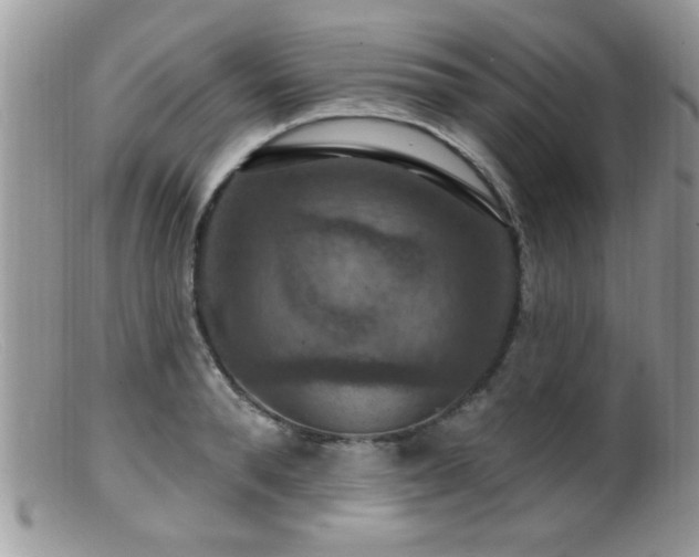 X0000099380896200805151615