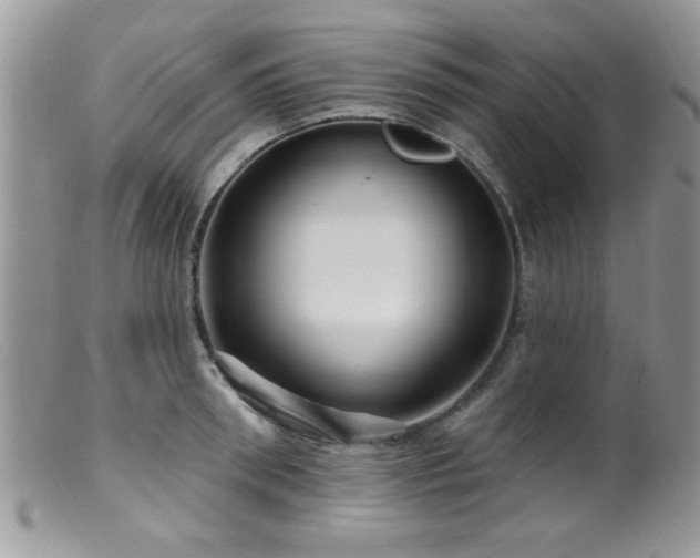 X0000099380898200805151615