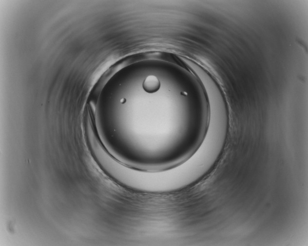 X0000099380899200805151615