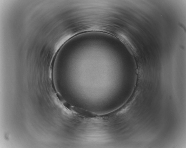 X0000099380900200805151615