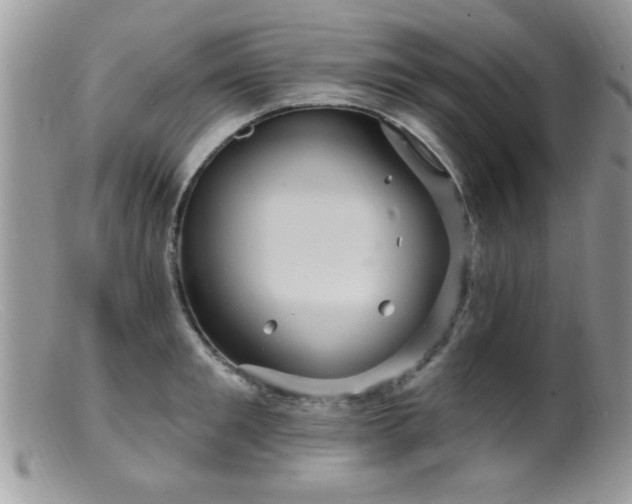 X0000099380901200805151615