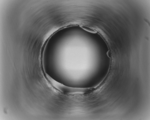 X0000099380902200805151615