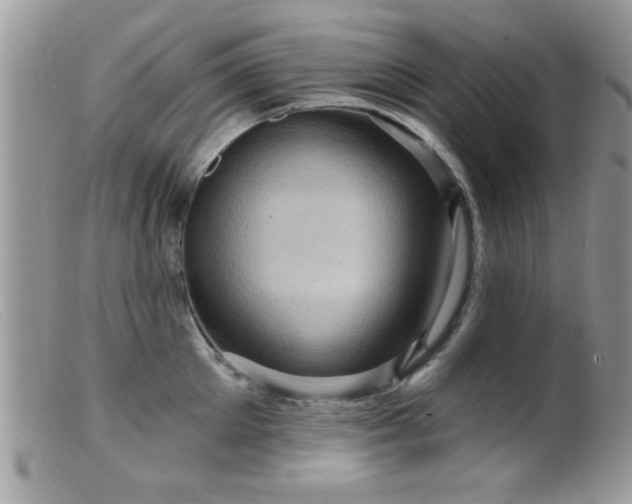 X0000099380905200805151615