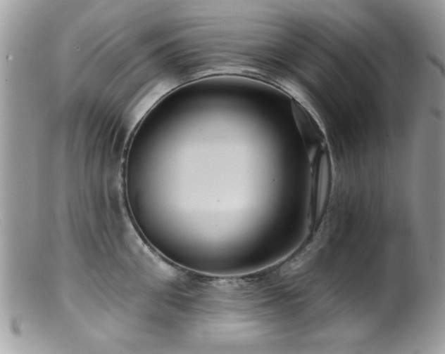 X0000099380906200805151615