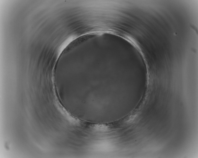 X0000099380907200805151615