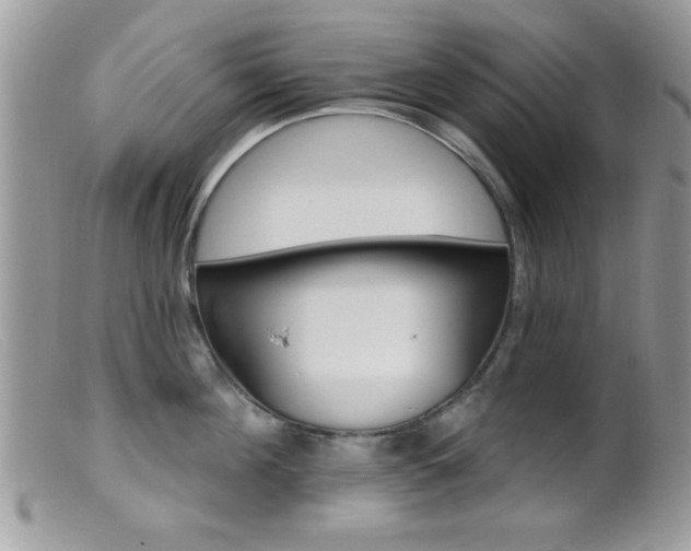 X0000099380908200805151615