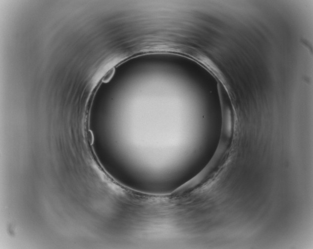 X0000099380909200805151615