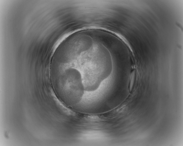 X0000099380911200805151615