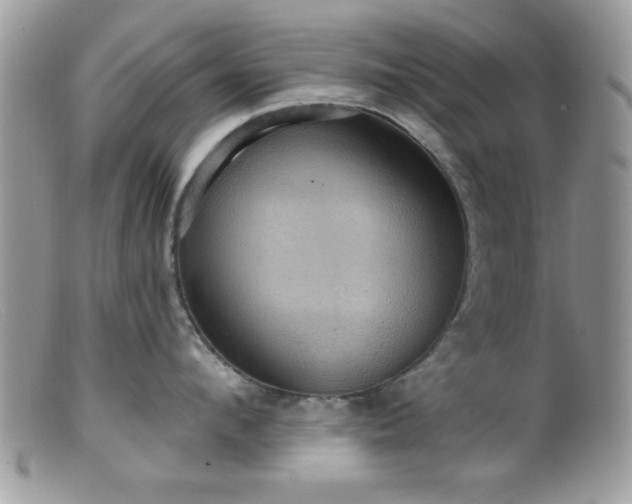 X0000099380912200805151615