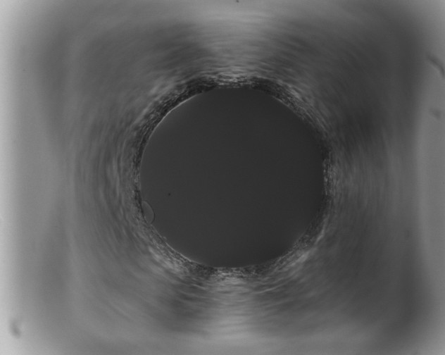 X0000099380913200805151615