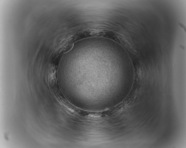 X0000099380914200805151615