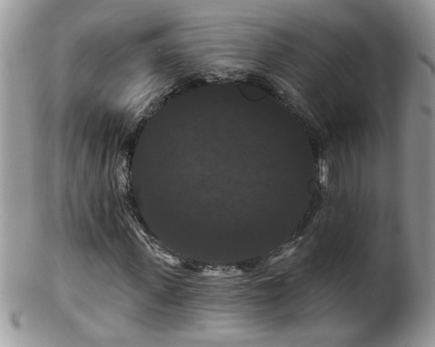 X0000099380915200805151615