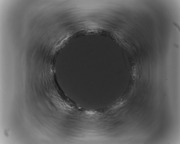 X0000099380916200805151615