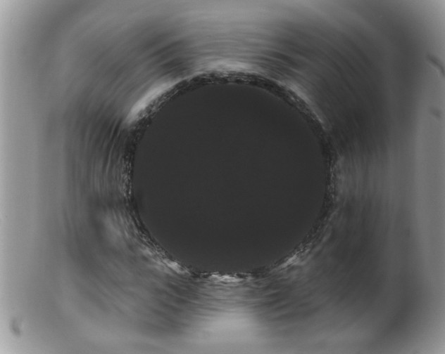 X0000099380919200805151615