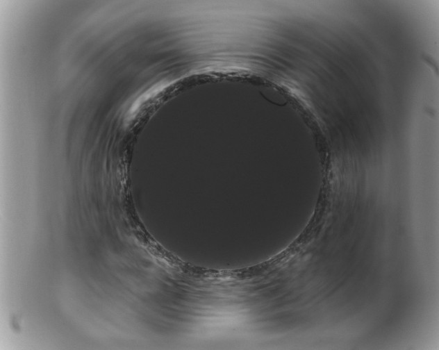 X0000099380920200805151615