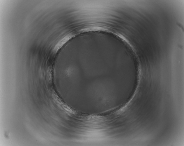 X0000099380921200805151615