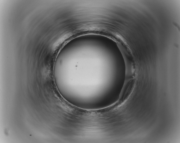 X0000099380922200805151615