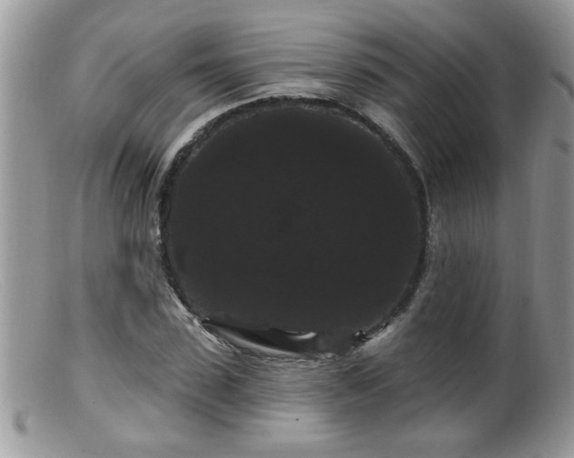 X0000099380923200805151615