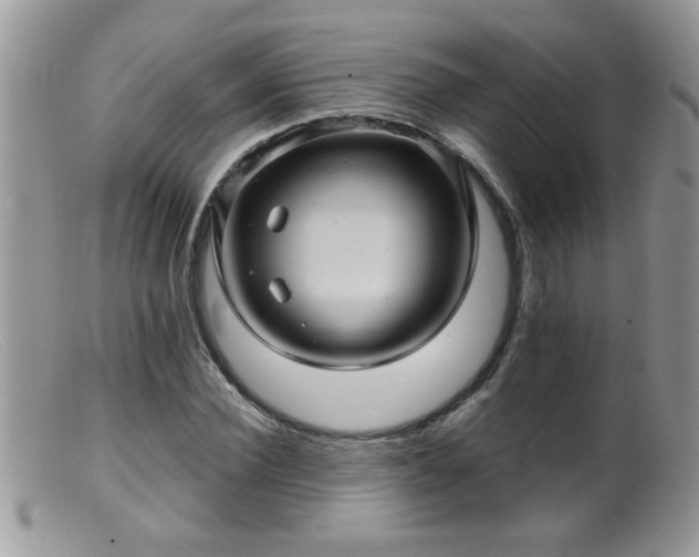 X0000099380924200805151615