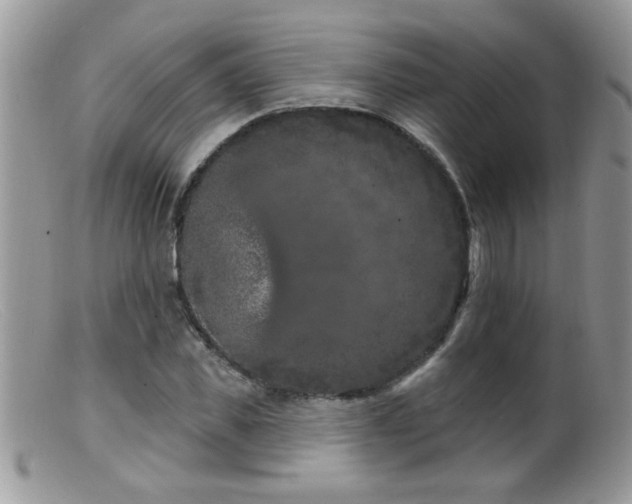 X0000099380925200805151615