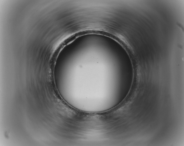 X0000099380926200805151615