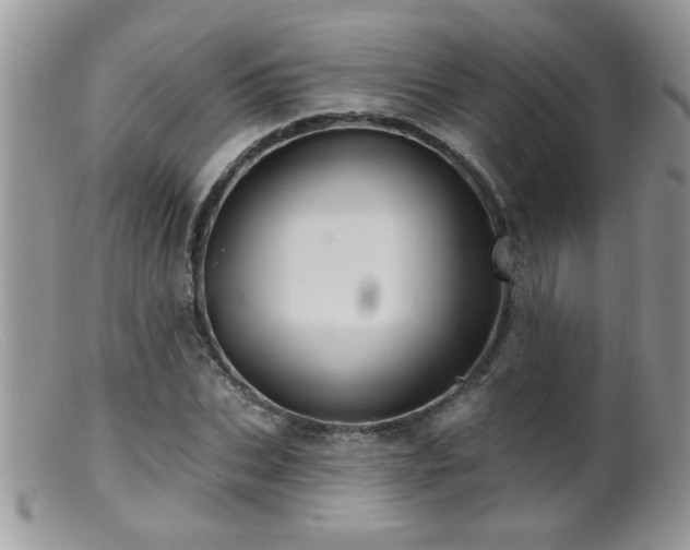 X0000099380927200805151615